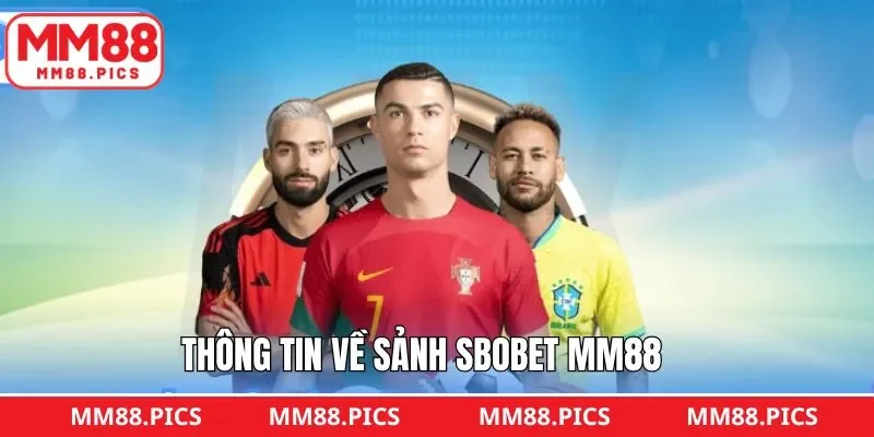 Sơ lược về sảnh thể thao đang được quan tâm